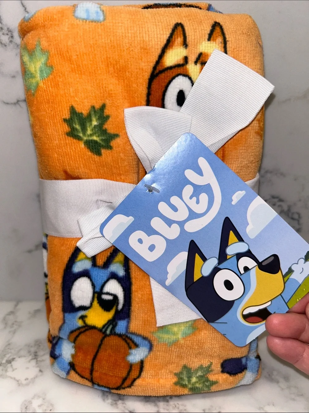 Disney Bluey Fall Hand Towels 2 Pack